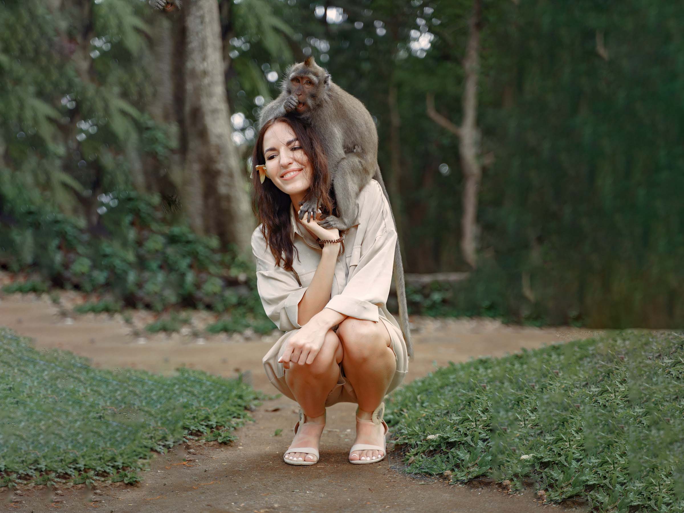 The Sacred Monkey Forest Ubud : Review and Holiday Informations