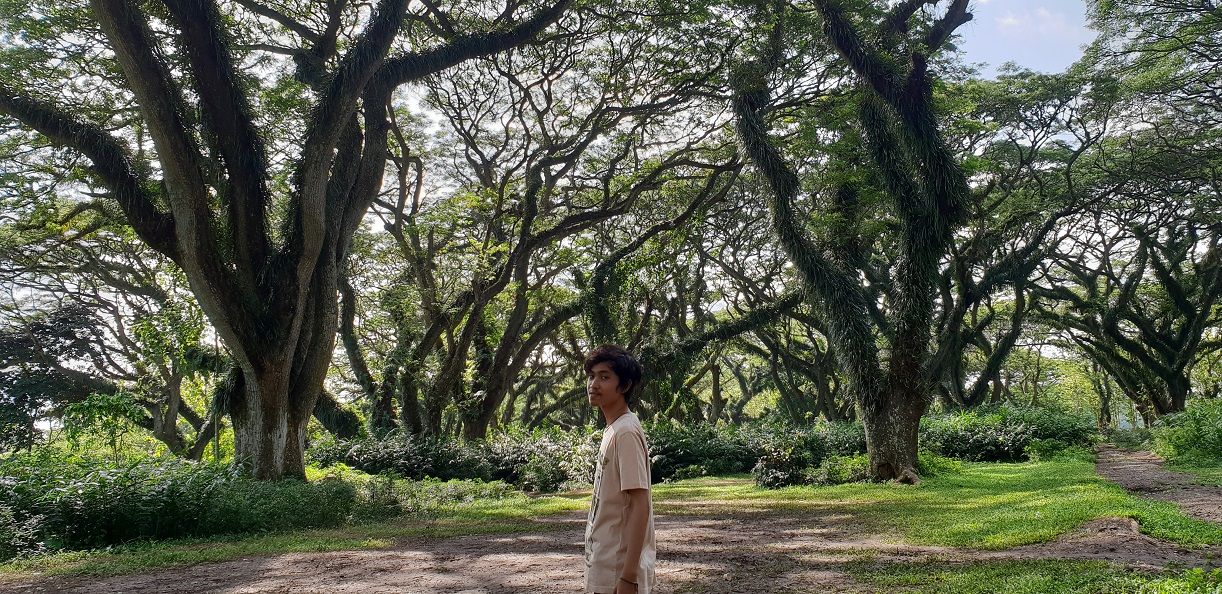 a-man-in-de-djawatan-forest-banyuwangi-indonesia.jpg