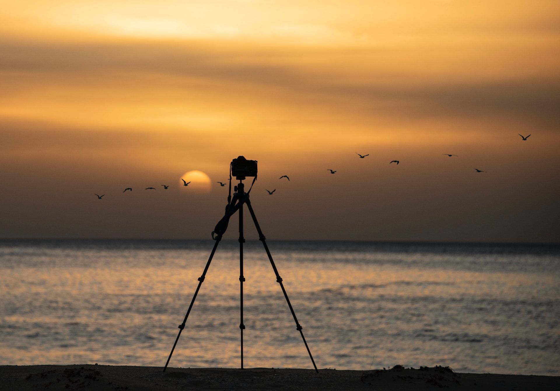 bring_a_lightweight_tripod_travel_photography_tips.jpg