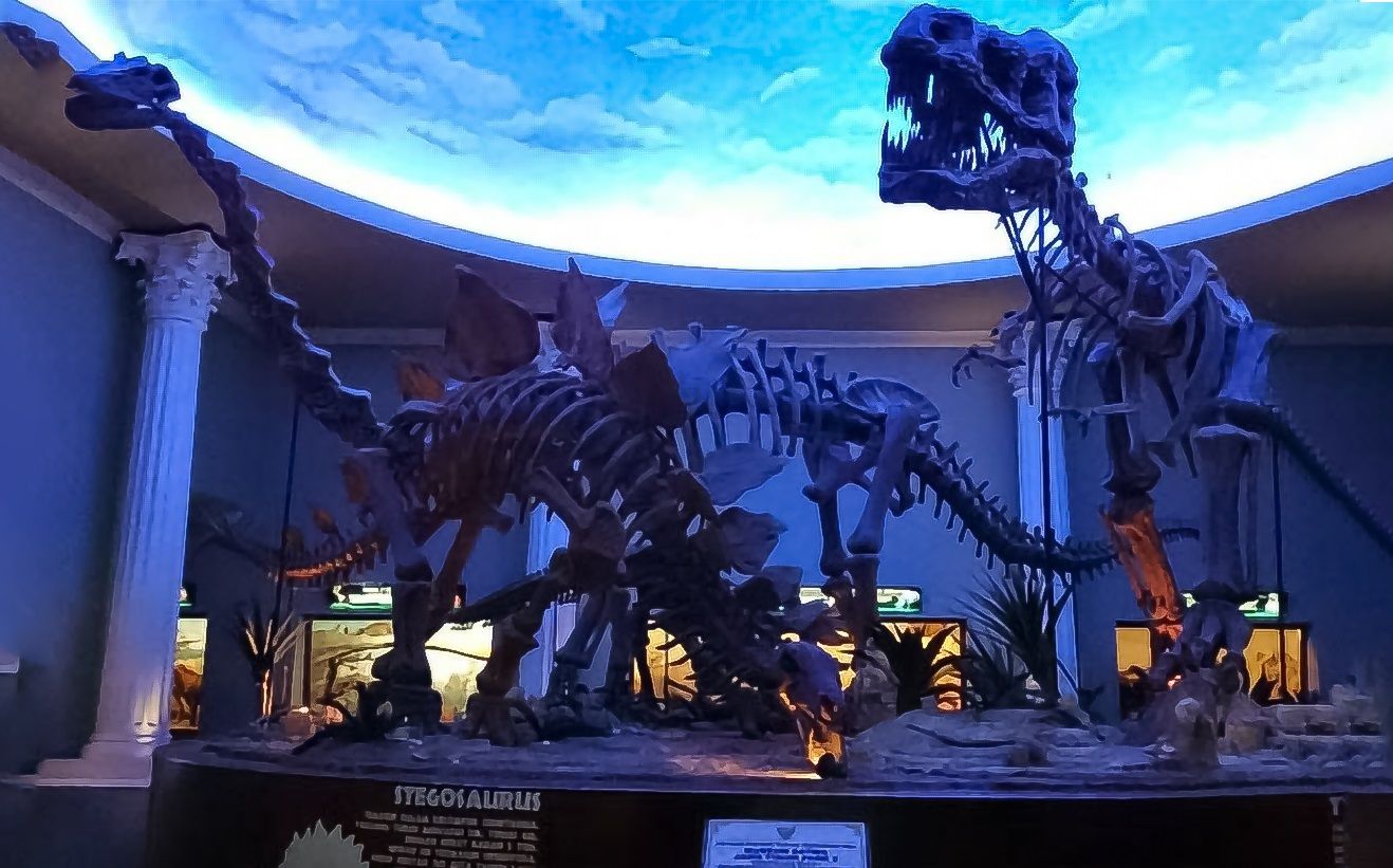Museum-Satwa-JATIMPARK 2.jpg