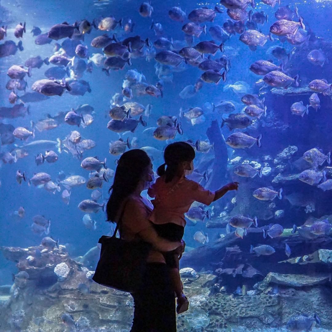 seaworld ancol.jpg