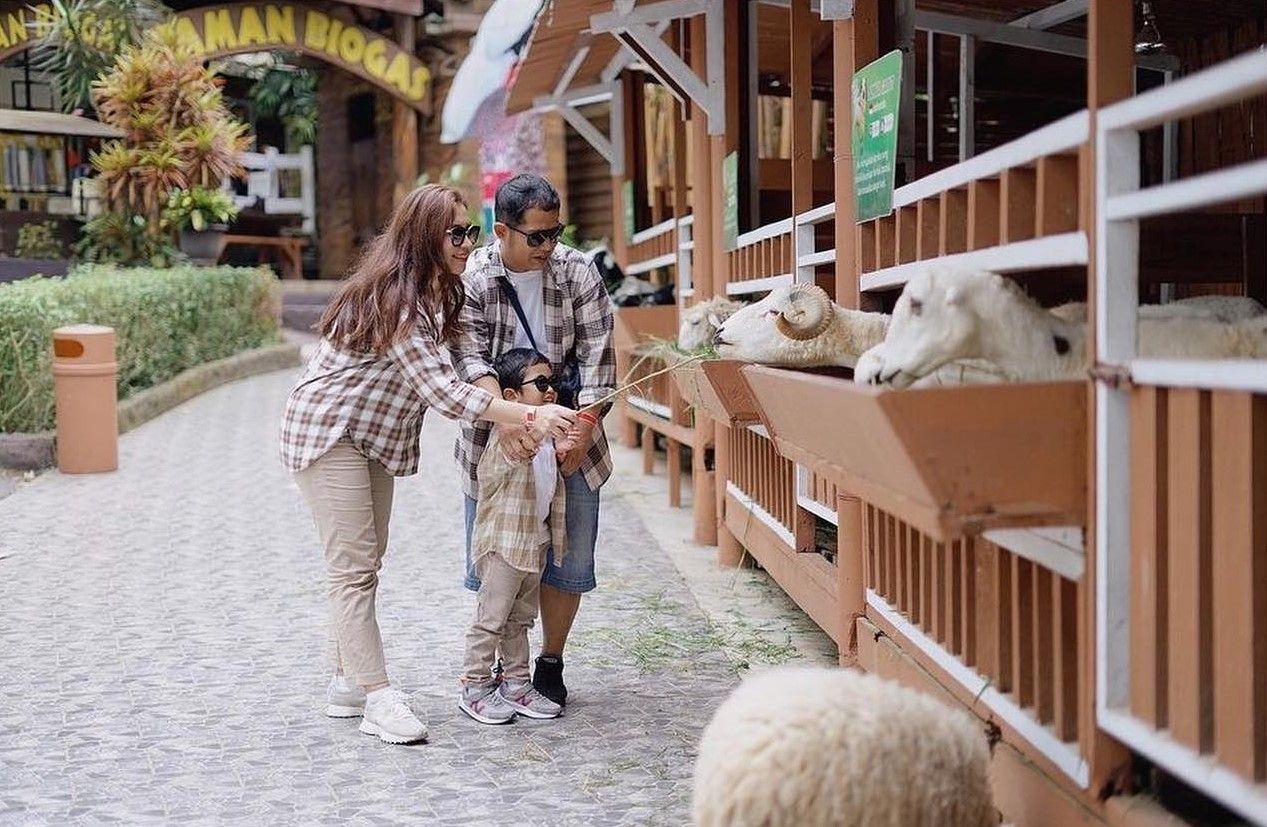 eco-green-park-rides-animal farm.jpg