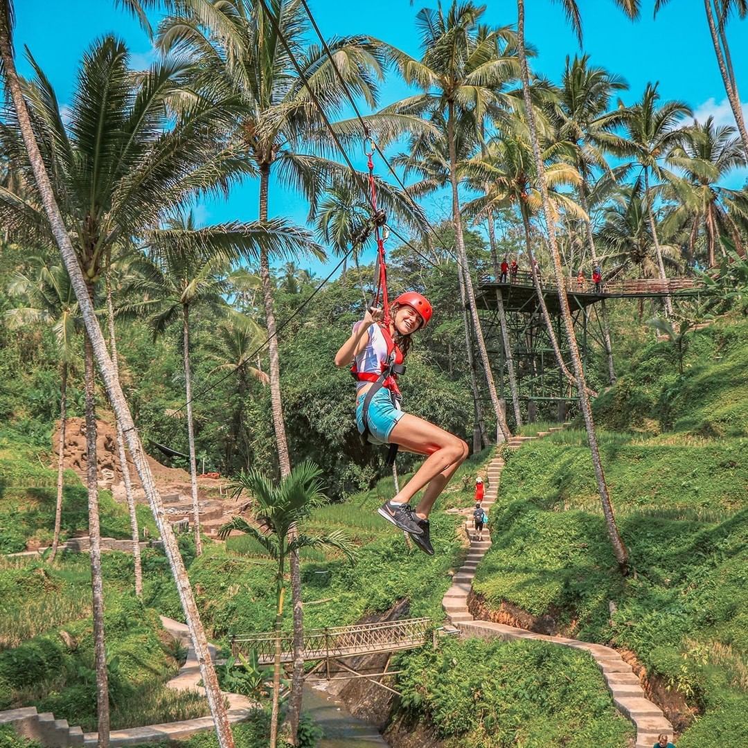 flying fox alas harum.jpg