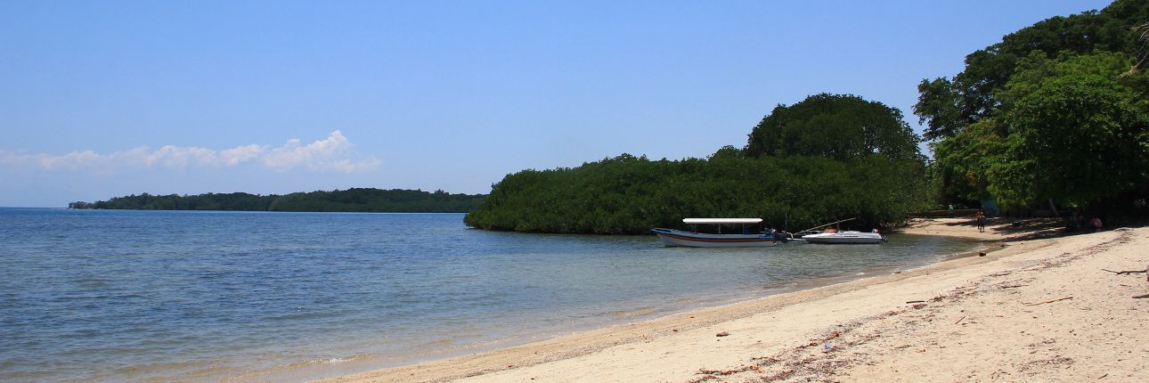 pantai_bama_1290 (1).jpg