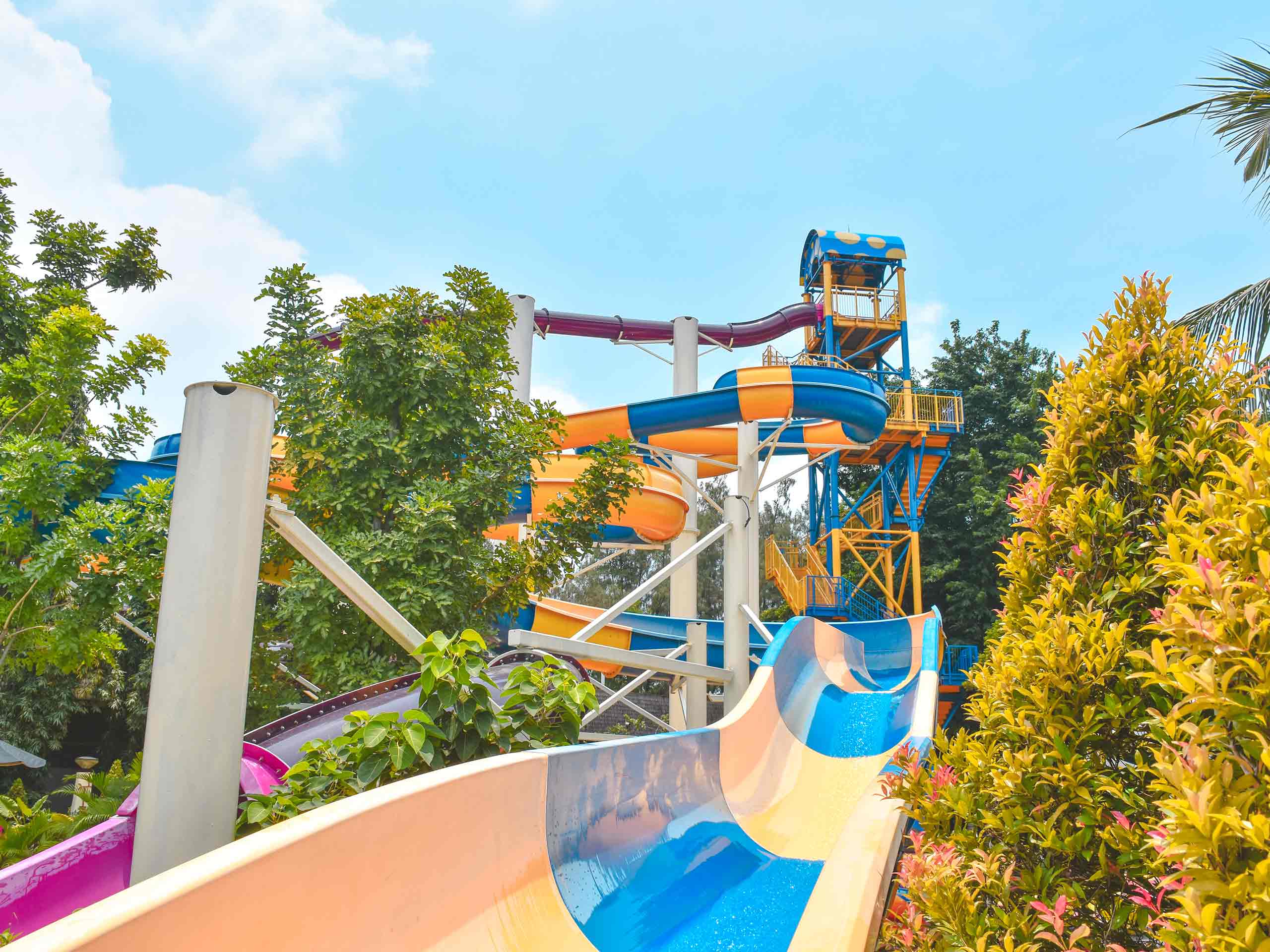 crazy slide.jpg