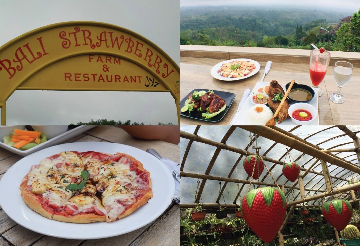 Bali Strawberry Farm & Restaurant.jpg