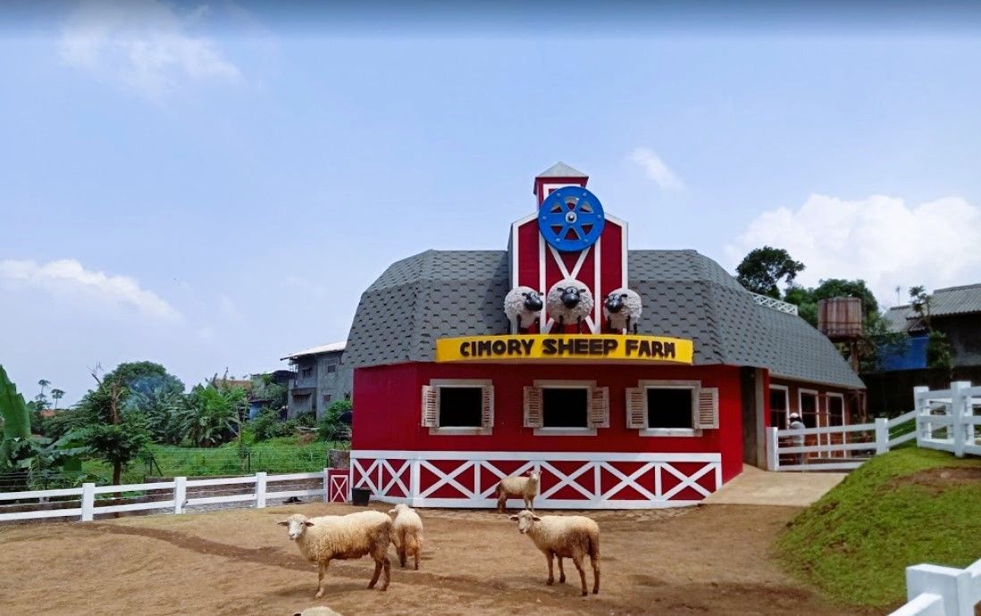 cimory sheep park.jpg