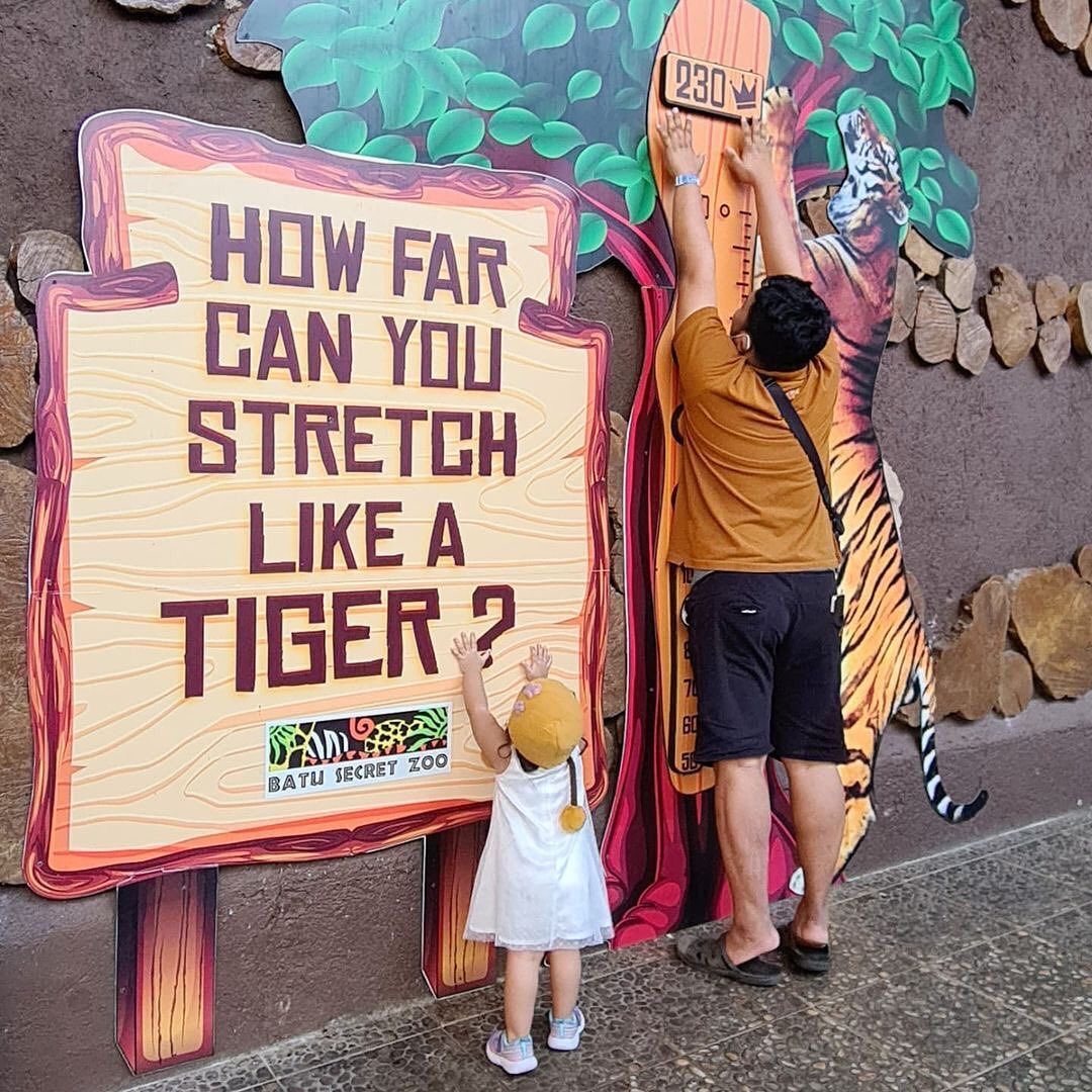 batu-secret-zoo-jatim-park-2-stretch like a tiger.jpg