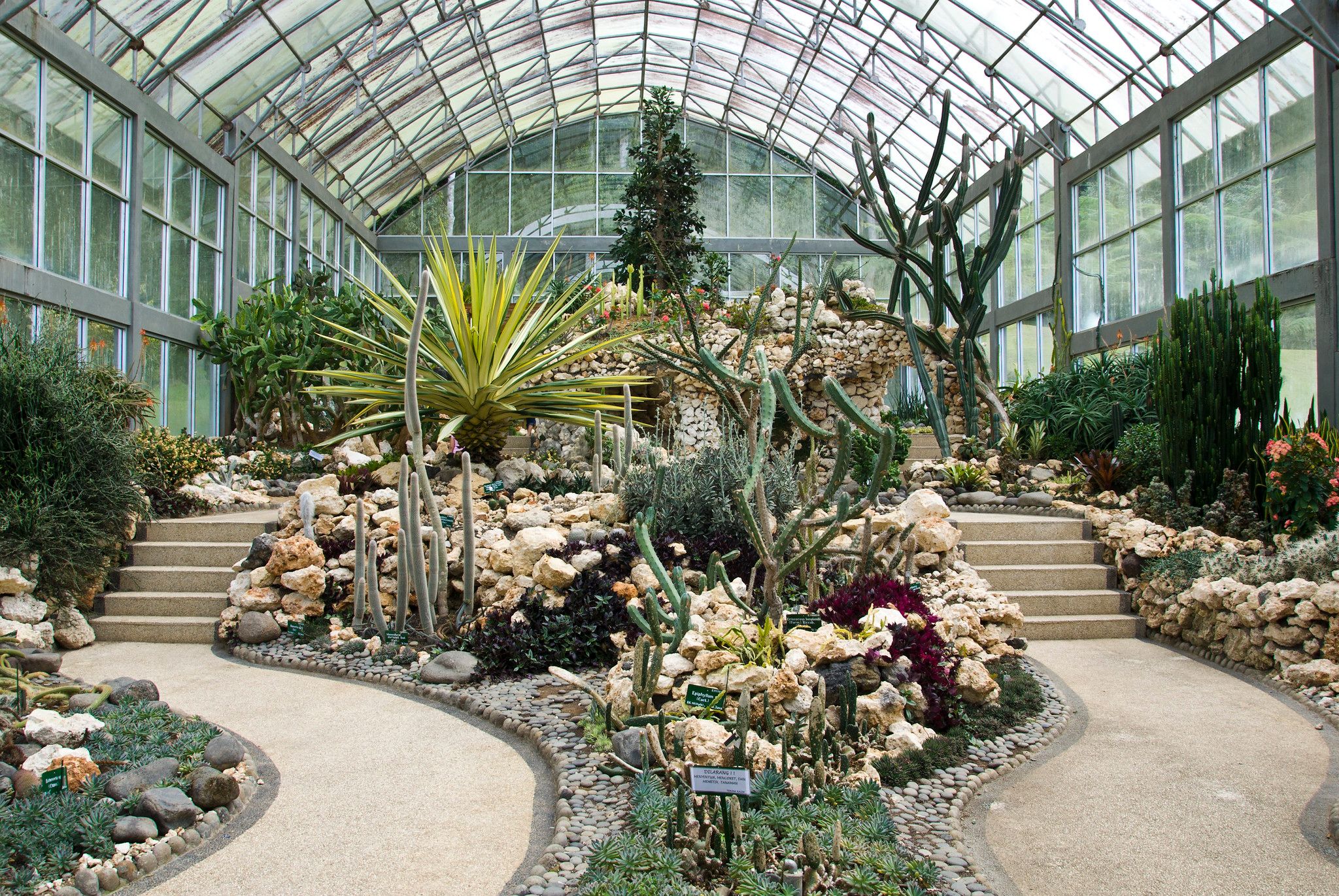 taman kaktus bali botanical garden.jpg