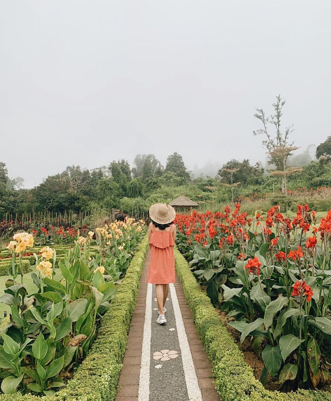 the blooms garden bali 2.jpg