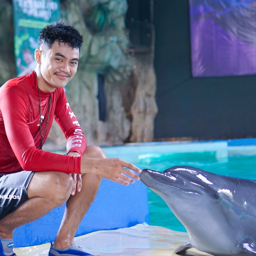 dolphin show.jpg