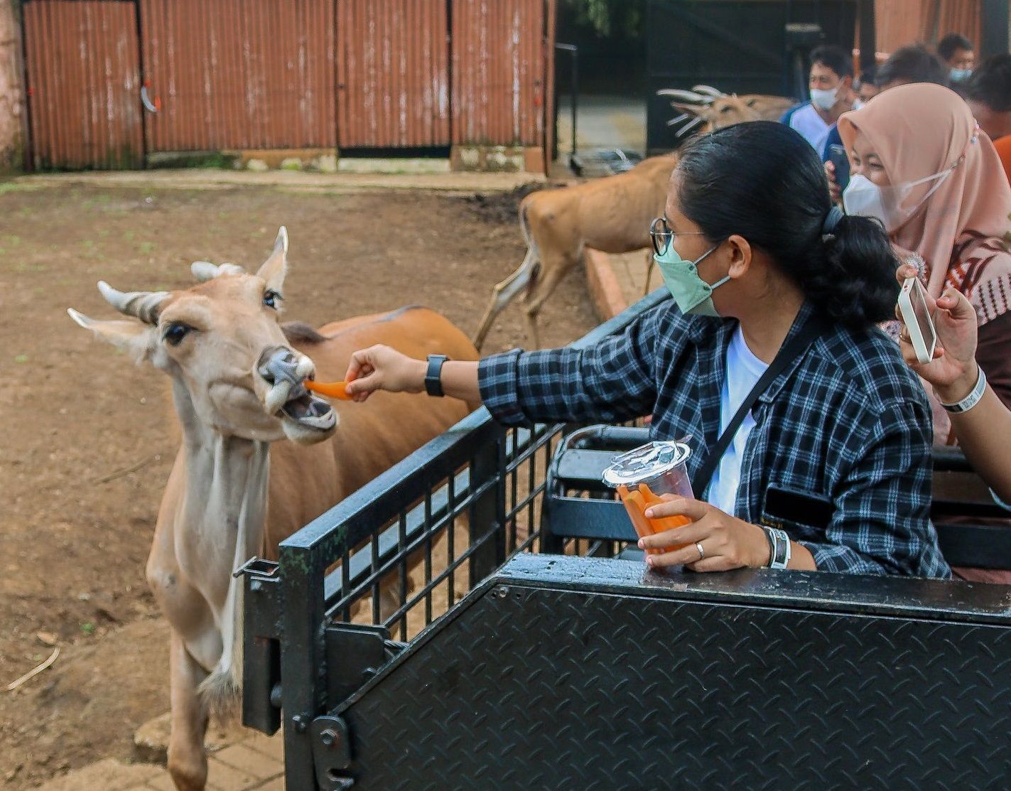 batu-secret-zoo-jatim-park-2-feeding.jpg