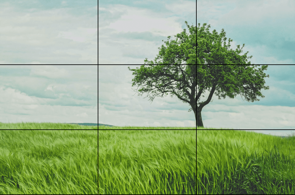 rule_of_thirds.png