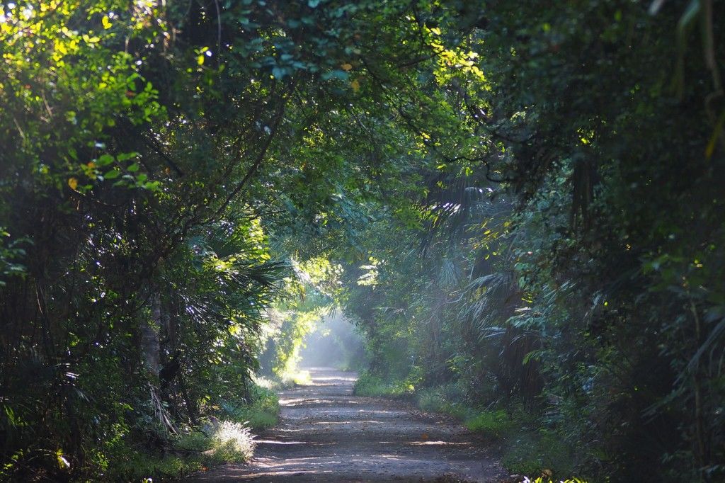 sfidnfits.com-3-Destinasi-Indah-di-Taman-Nasional-Baluran-yang-Harus-Anda-Singgahi1.jpg