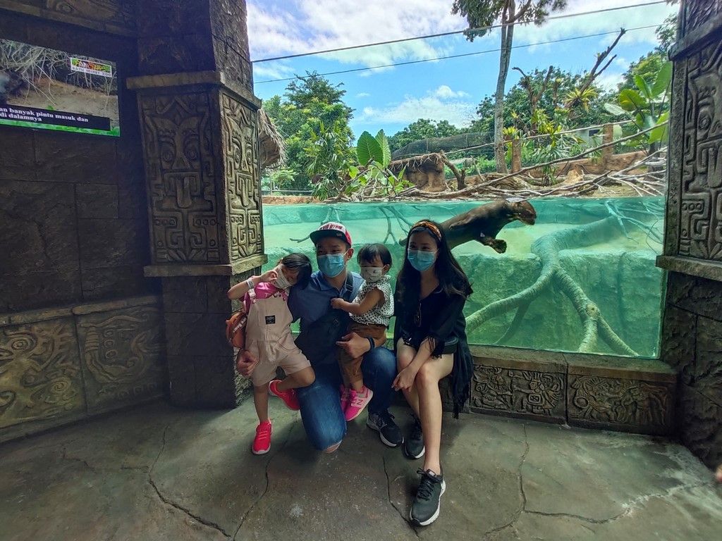 batu-secret-zoo-jatim-park-2-Giant Otters.jpg