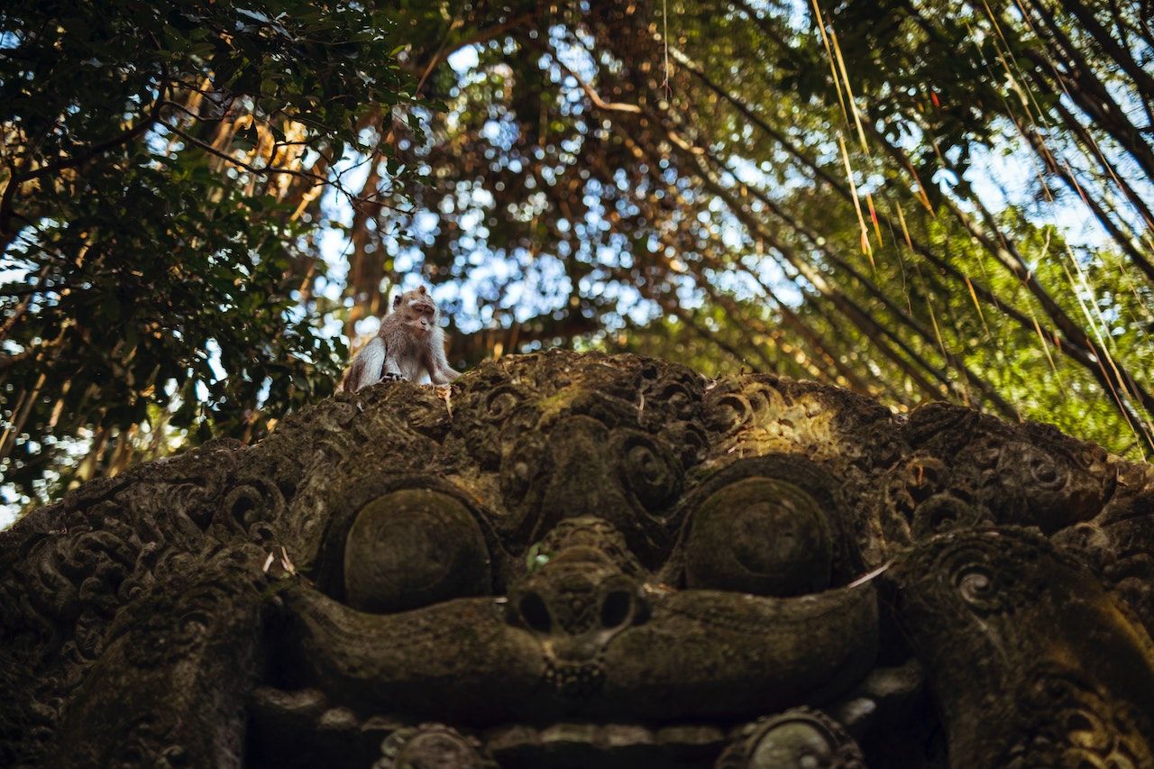 monkeys on the statue at monkey forest ubud.jpg