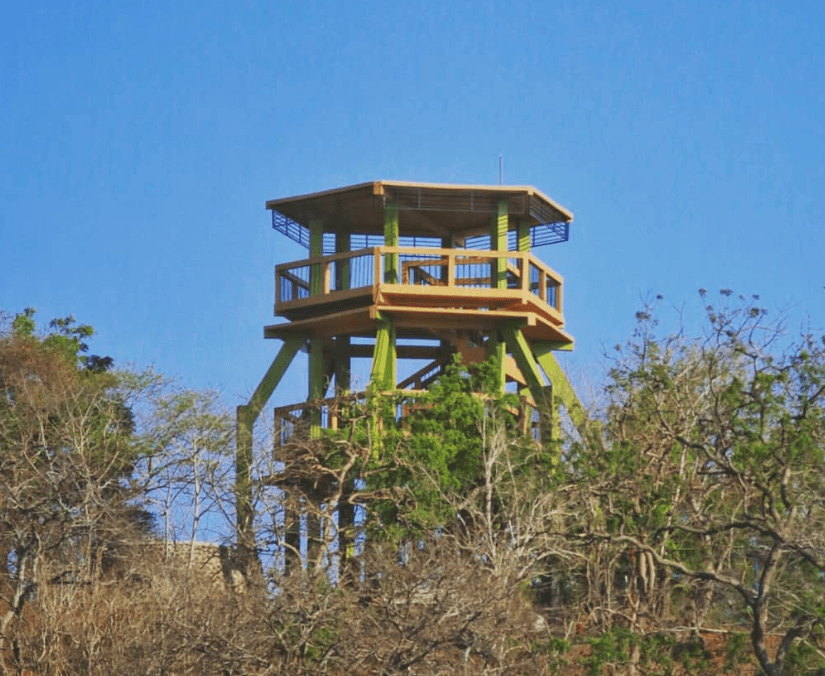 tower.png