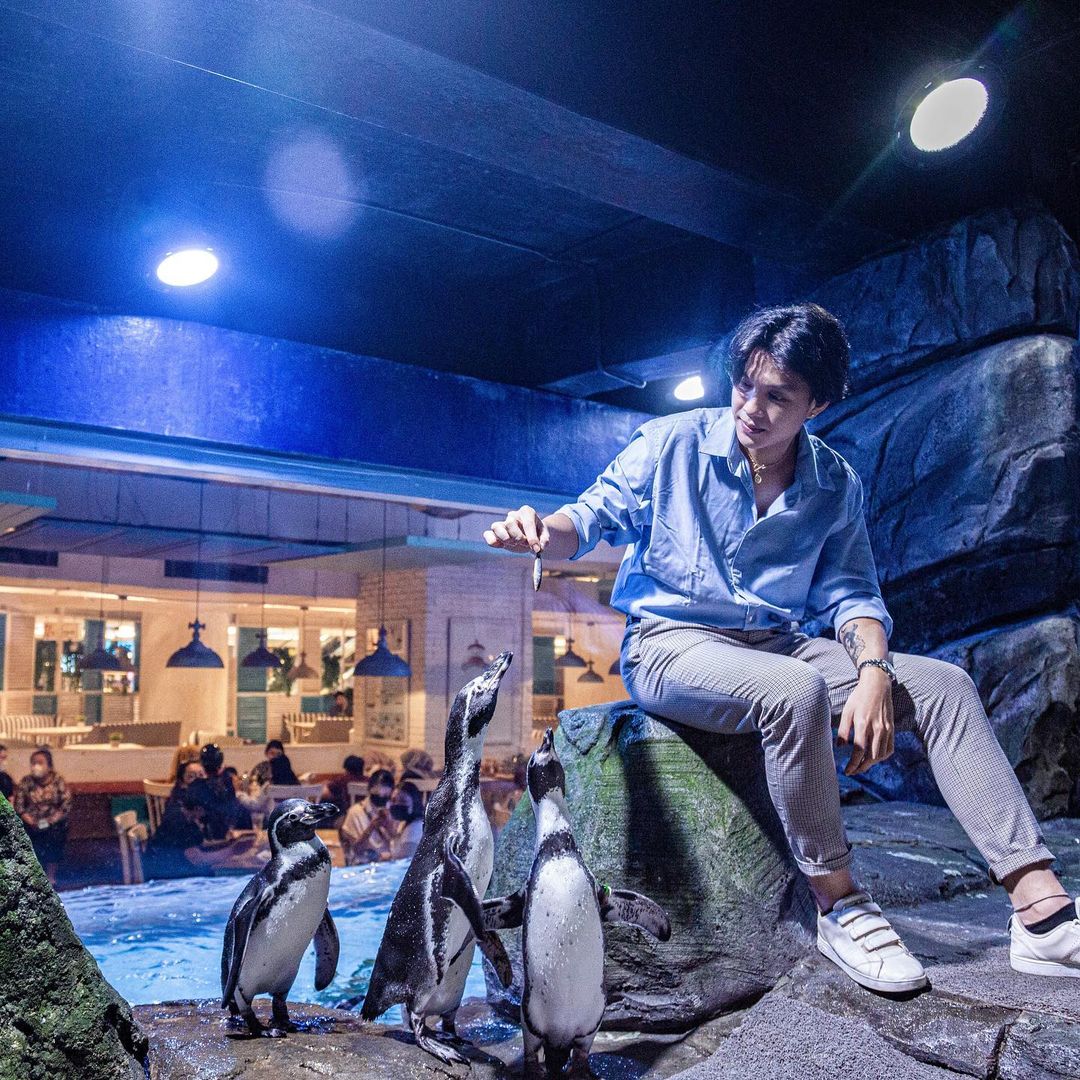 Pingoo Neo Soho pinguin feeding.jpg