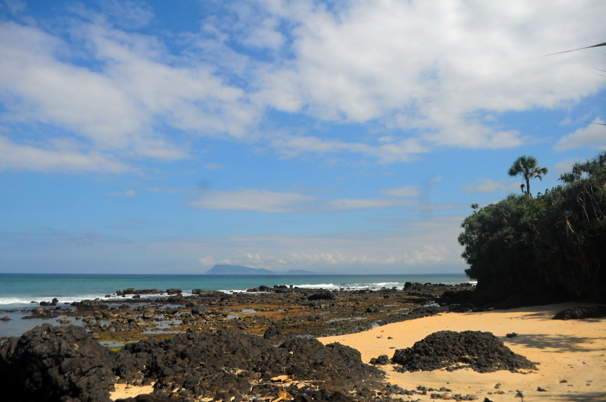 pantai pancur alas purwo.jpg