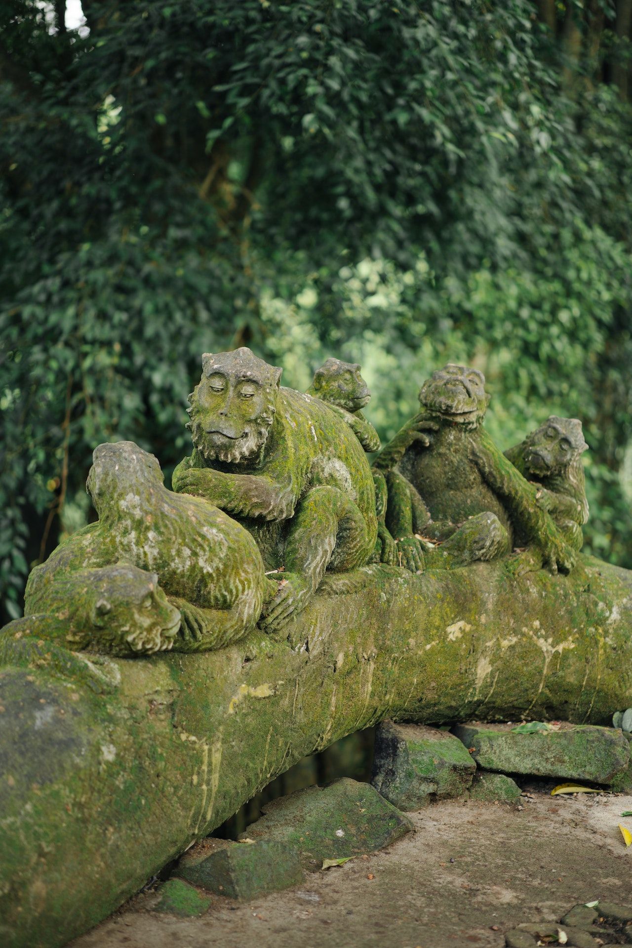 monkey forest ubud article for review and information.jpg