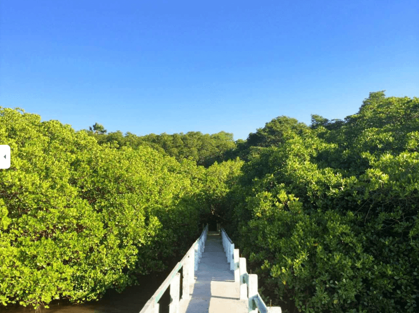 bama beach dock.png