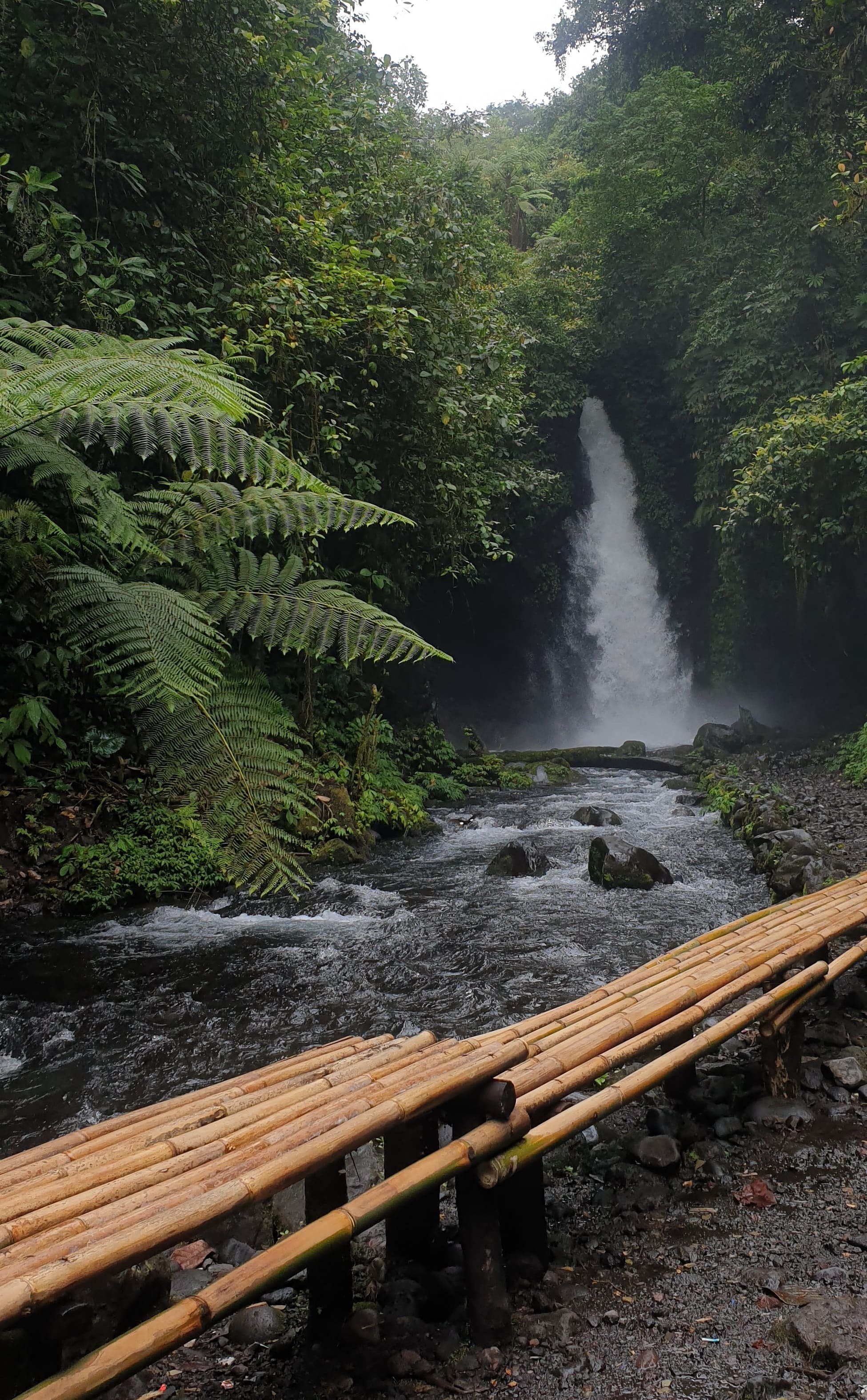 https://jagojalan.sgp1.digitaloceanspaces.com/c89a08dd2d144629a12b7adc55cf27d7.jpg