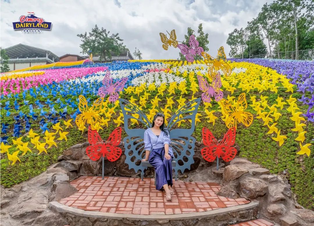 colouful windmills photo spot at Cimory Dairy Land Prigen.webp
