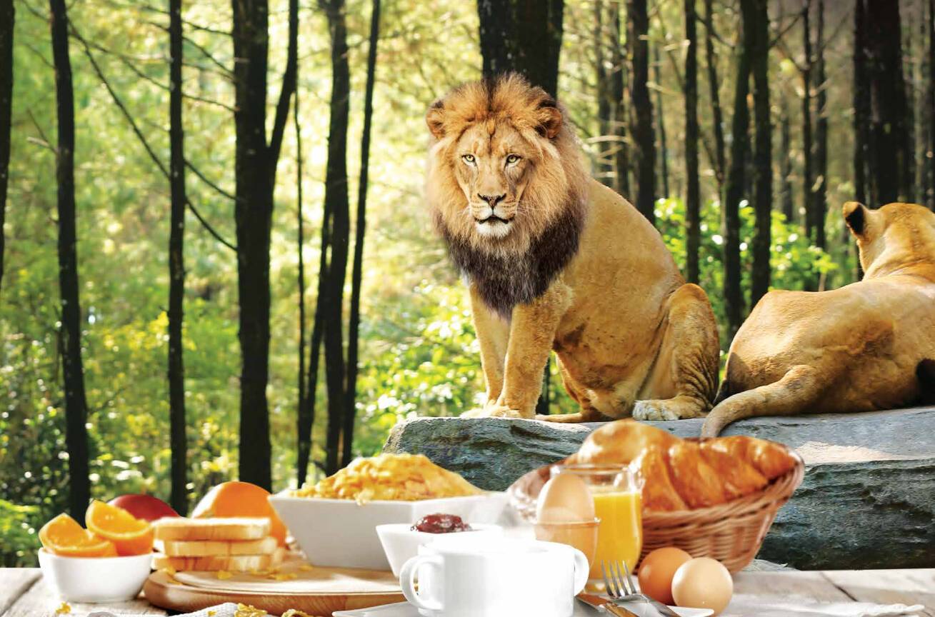 Bali Safari and Marine Park breakfast at uma restaurant with lion.jpg