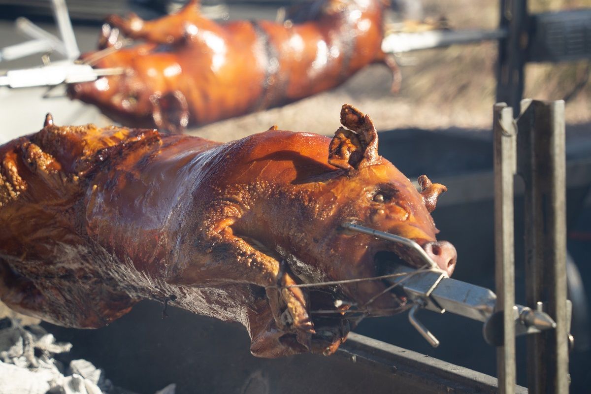 whole-pigs-roasting-over-hot-coals-2022-11-16-00-05-24-utc.jpg