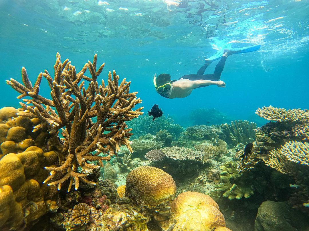 snorkeling at karimunjawa.jpg