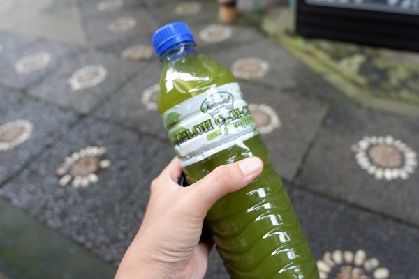 loloh cemcem khas Penglipuran village in bali.jpg